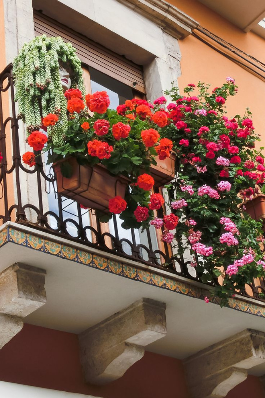 Elegant narrow balcony garden with wrought iron bistro set, pink and white flowering plants in terracotta pots, and lush greenery climbing the walls and hanging from above for a cozy, romantic vibe. 