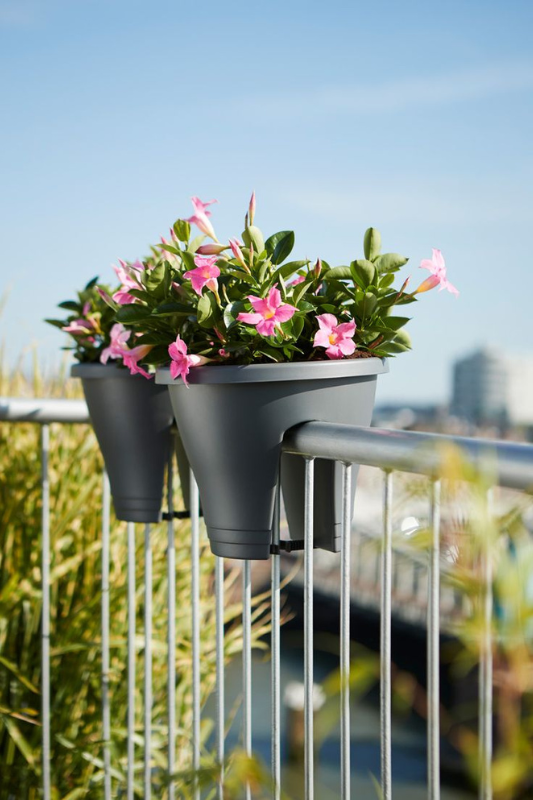 Modern gray railing planters with vibrant pink flowers mounted on a metal balcony, overlooking a cityscape. 