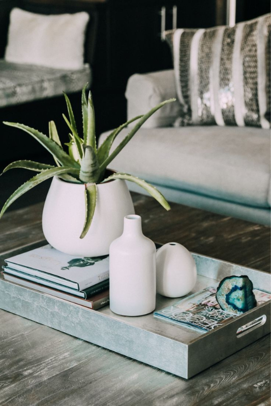 modern coffee table decor with aloe plant in white pot, stacked books, ceramic vases, and decorative tray in a stylish living room setting

