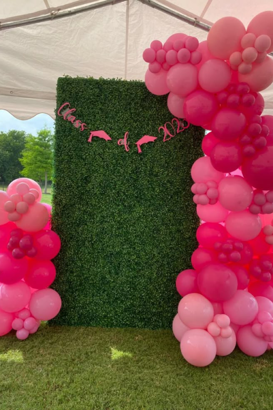 Pink graduation party backdrop with a green hedge wall and balloon arch reading “Class of 2025” in bold script, perfect for photo ops.