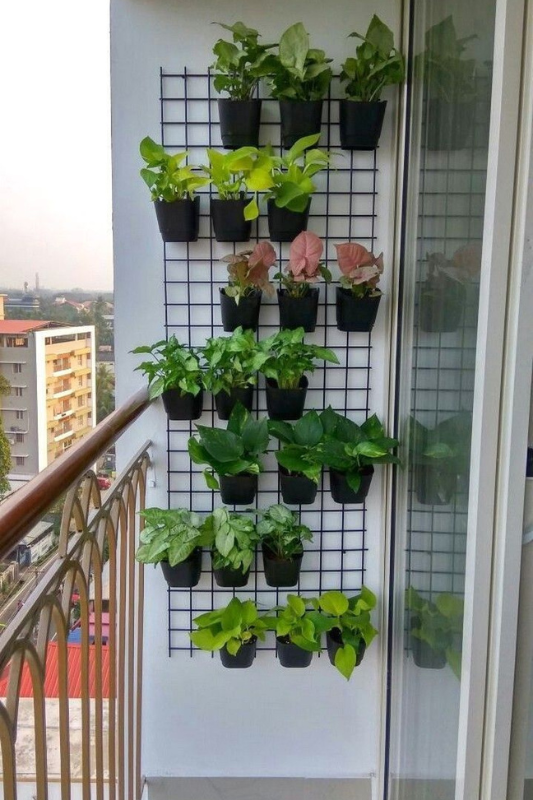 Compact balcony with a vertical wall-mounted grid holding multiple black pots filled with assorted green plants and pink caladiums, maximizing vertical gardening space. 