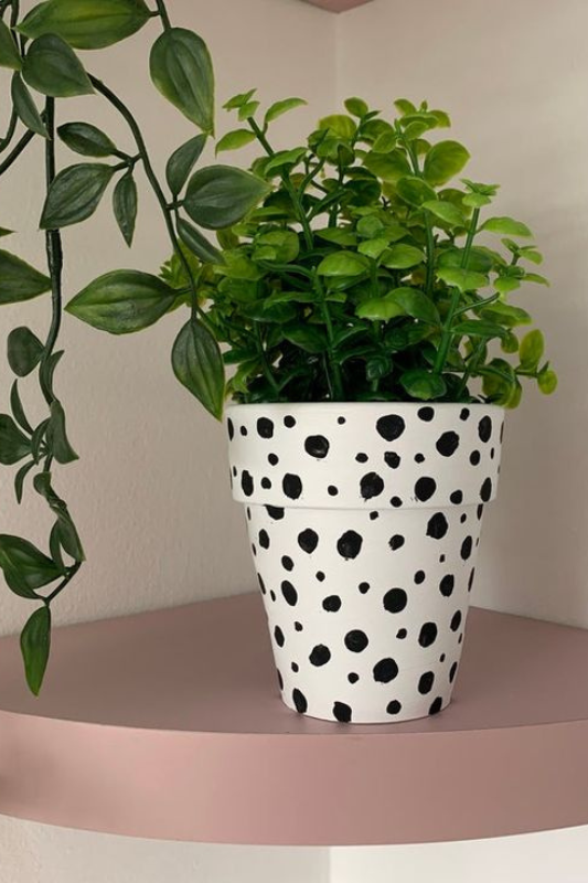 Chic black and white hand-painted polka dot planter pot featuring lush green foliage, displayed on a soft blush pink corner shelf. This playful Dalmatian-print plant pot adds a touch of modern whimsy and minimalist charm to any indoor plant display or shelf decor.