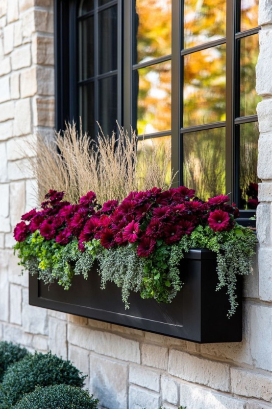 Sleek black window box with burgundy chrysanthemums, trailing greenery, and ornamental grasses on a stone house exterior.