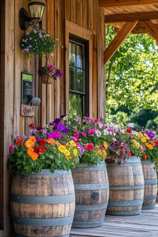 Vintage wine barrels repurposed as colorful flower planters filled with petunias and marigolds on a charming wooden farmhouse porch.
